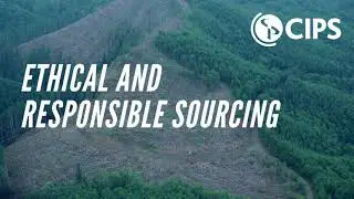Top Tips for Ethical and Responsible Sourcing | CIPS