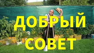 Полка. Полка под Телевизор. Огород Баварский.