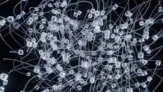 Spline tracer with instance aligned rotation