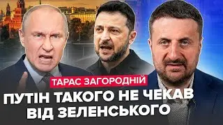 💥ЗАГОРОДНІЙ: Дика 