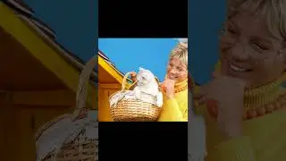 Bakica je uredila celu sobu za svog mačka.