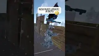 Have you met bots like these in Rust??  🤣 