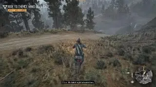 DAYS GONE Is a perfect game with no bugs whatsoever.