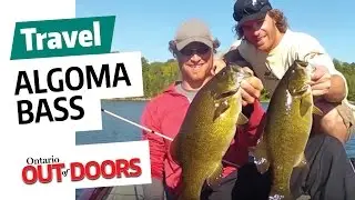Algoma bass