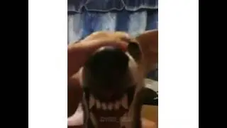 Собака ля-ля-ля