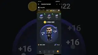 важные блиц новости по notcoin, dogs, hamster kombat, memefi, tapswap