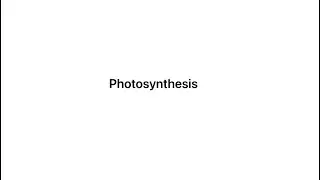 POV you’re not paying attention in class, but then the teacher asks you what is photosynthesis ￼