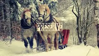 TLC - Sleigh Ride ('93)