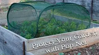 Keep Critters Out Of The Garden With 