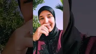 المدرسة الرائدة