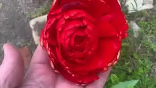 Цены в О’кей