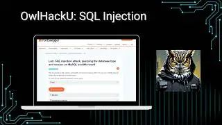 PortSwigger Academy - SQL injection attack, querying the database type and version MySQL/Microsoft