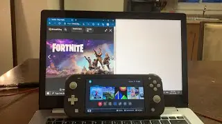 FORTNITE - white screen. LIVE  feed ** Pc & Nintendo switch **