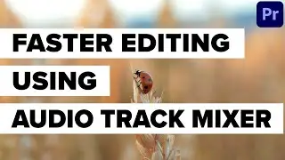 Learn How to Use Premiere Pro's Audio Track Mixer