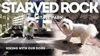 Our Dogs First Hike!🐕 | Starved Rock State Park, Illinois, USA
