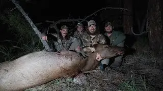 WHERE DID I HIT?!? Calling in Tons of ELK in Arizona