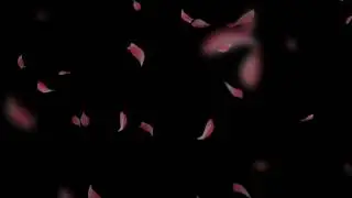 Rose Flower fall background, Rose Flower Effect