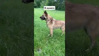 Ларочка ждёт маму и папу 🙏🏻 