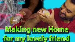 Golden hamster .Hamsters . Hamster cage unboxing. Unboxing of Hamster cage.  (Asad Brohi vlog)