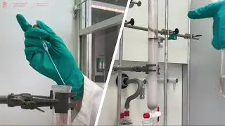 Chemical/Laboratory Techniques: Column Chromatography