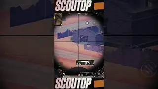 DMR Actions Of SCRIMS | 