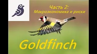 Goldfinch. Как принимаются решения о выдаче займов.