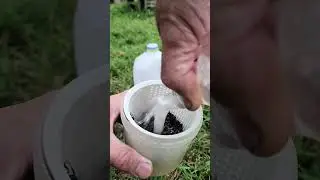 Anti-Zombie Excommunication - Honey Bees - Beekeeping - reminds me of...