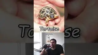 The Hardest English Words to Pronounce 🤔