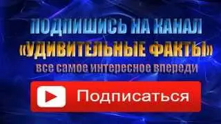 Самый сильный человек в мире   Удивительные факты