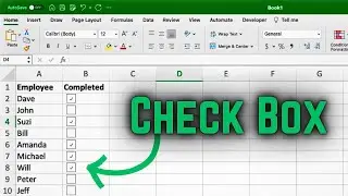 How to get Check Mark in Excel