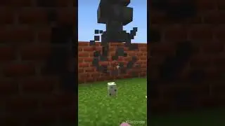 Minecraft hataları