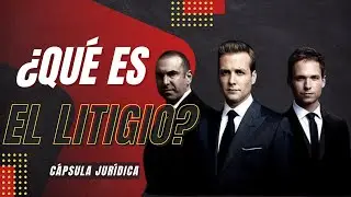 ¿Que es el Litigio? - Te lo explicamos fácilmente en menos de 3 minutos
