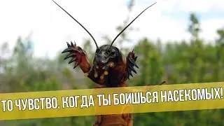 То чувство, когда ты боишься насекомых.