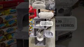 This Week’s Top Costco Finds!