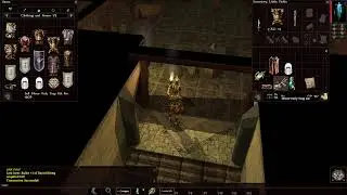 Neverwinter Nights Enhanced Edition - Infinite Dungeons - New Character