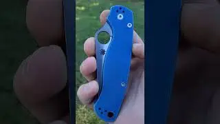 every knife guy should have one of these- Spyderco Paramilitary 2 #spydercoknives #edc