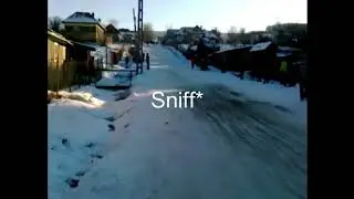 Cu sania in Romania :)