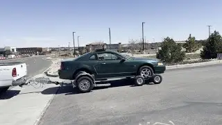 Drift Bros | Mustang Dolly