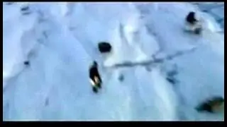 30 Seconds to Mars A Beautiful Lie Official Video