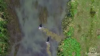#explore #pakistan #malakand #river #swat #cinematic #dji #djimini2
