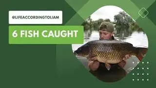 Summer Carp Fishing - 7 days on A1 Pits