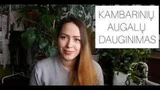 KAMBARINIŲ AUGALŲ DAUGINIMAS. 1 dalis. Pinigų medis, Tradeskantė, Kaktusai ir kt.