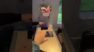 Самый дорогой билет на Сапсан!
