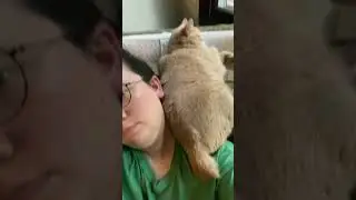 Cat sleeps with butt on human, human smiles