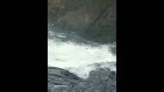 Waterfall Neutar Beauty  In Forest