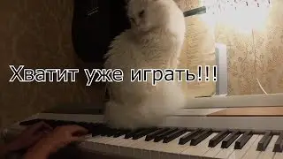 Возмущение кота  (Композиция 