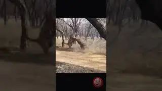 Аж дух захватывает!!! Мощь и сила!