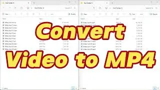How to batch convert any video files to MP4 format?