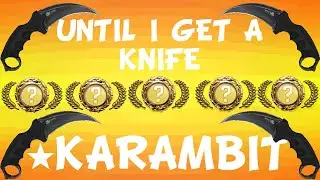 Opening CS:GO Cases Until I Get A KARAMBIT I DAY 87 I