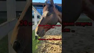 Всем привет Сори что давно не была а я уже прыгаю 40-60 см